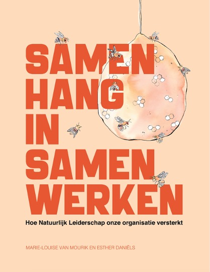 Managementboek - Samenhang in Samenwerken